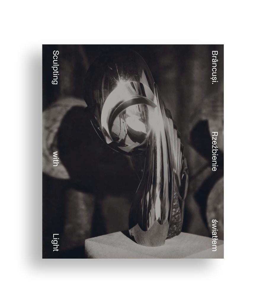 Brancusi - Sculpting with Light - Art album. Discover the genius!