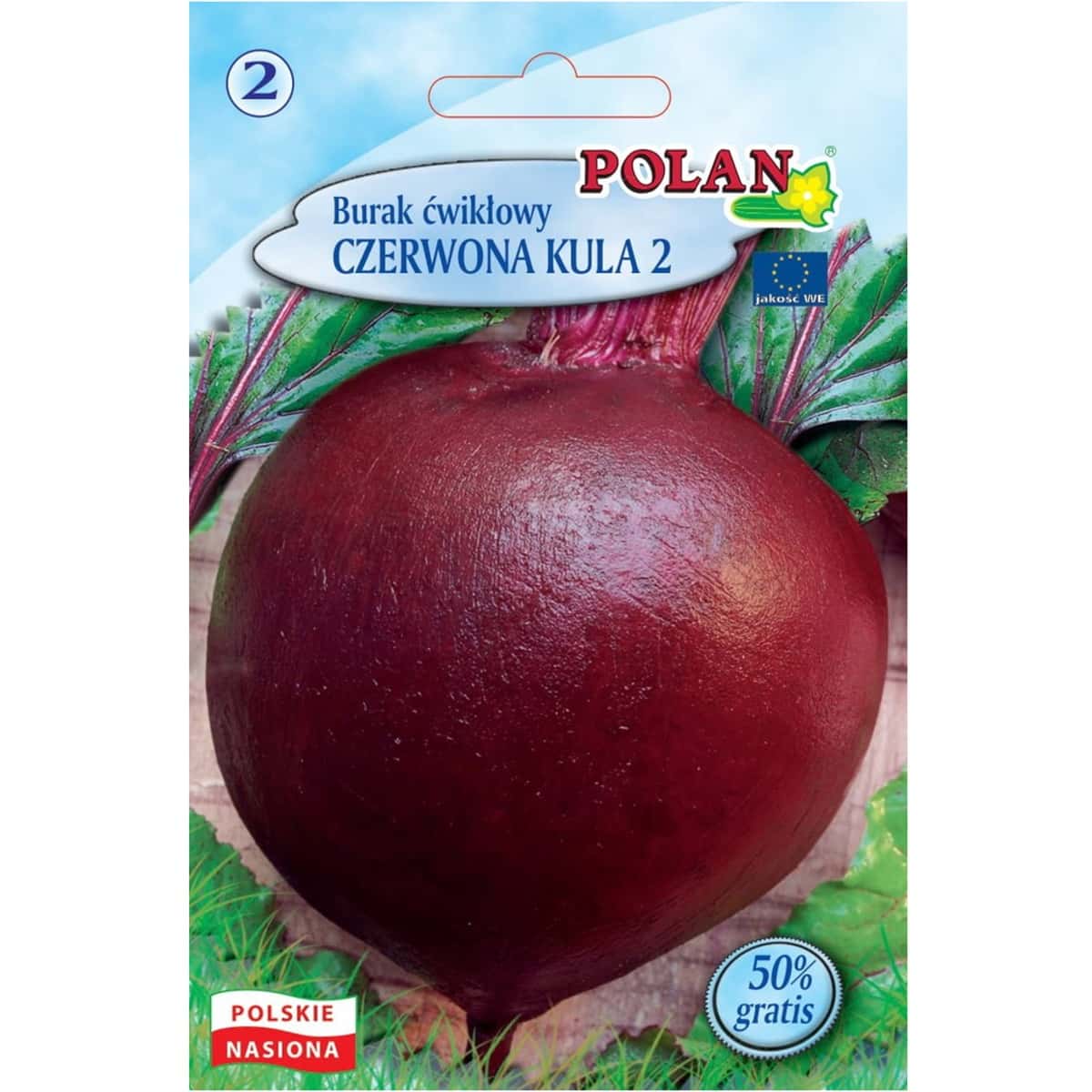 Beetroot Red Ball - early variety ideal for preserves