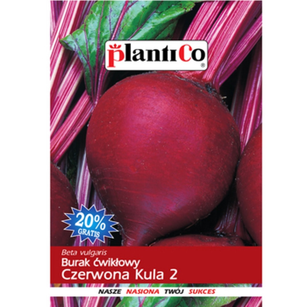 Plantico Beetroot Red Globe - ideal for processing