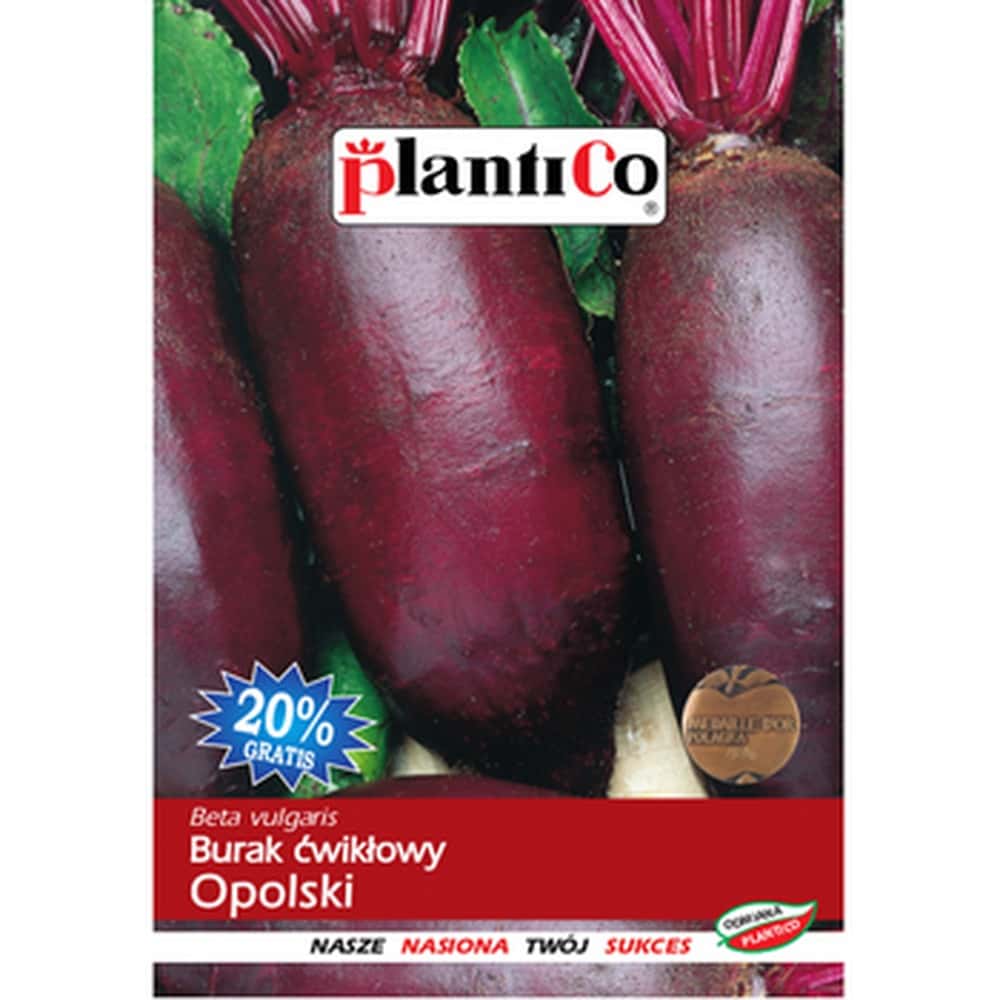 PlantiCo Beetroot Opolski - late variety for your garden