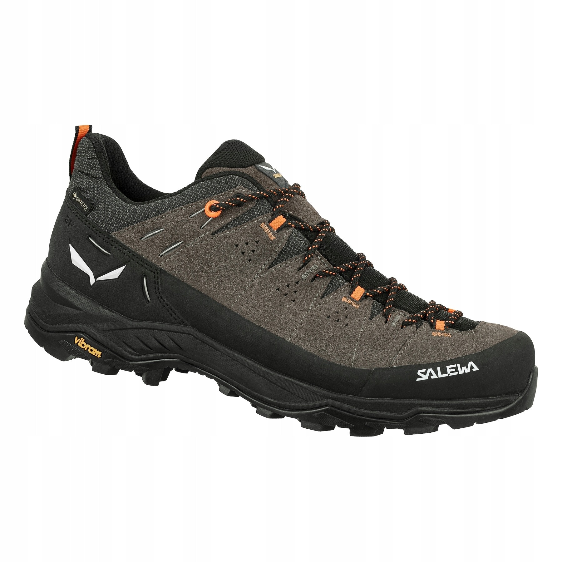 Buty trekkingowe męskie Salewa Alp Trainer 2 GTX Bungee Cord/Black UK 9 (43)