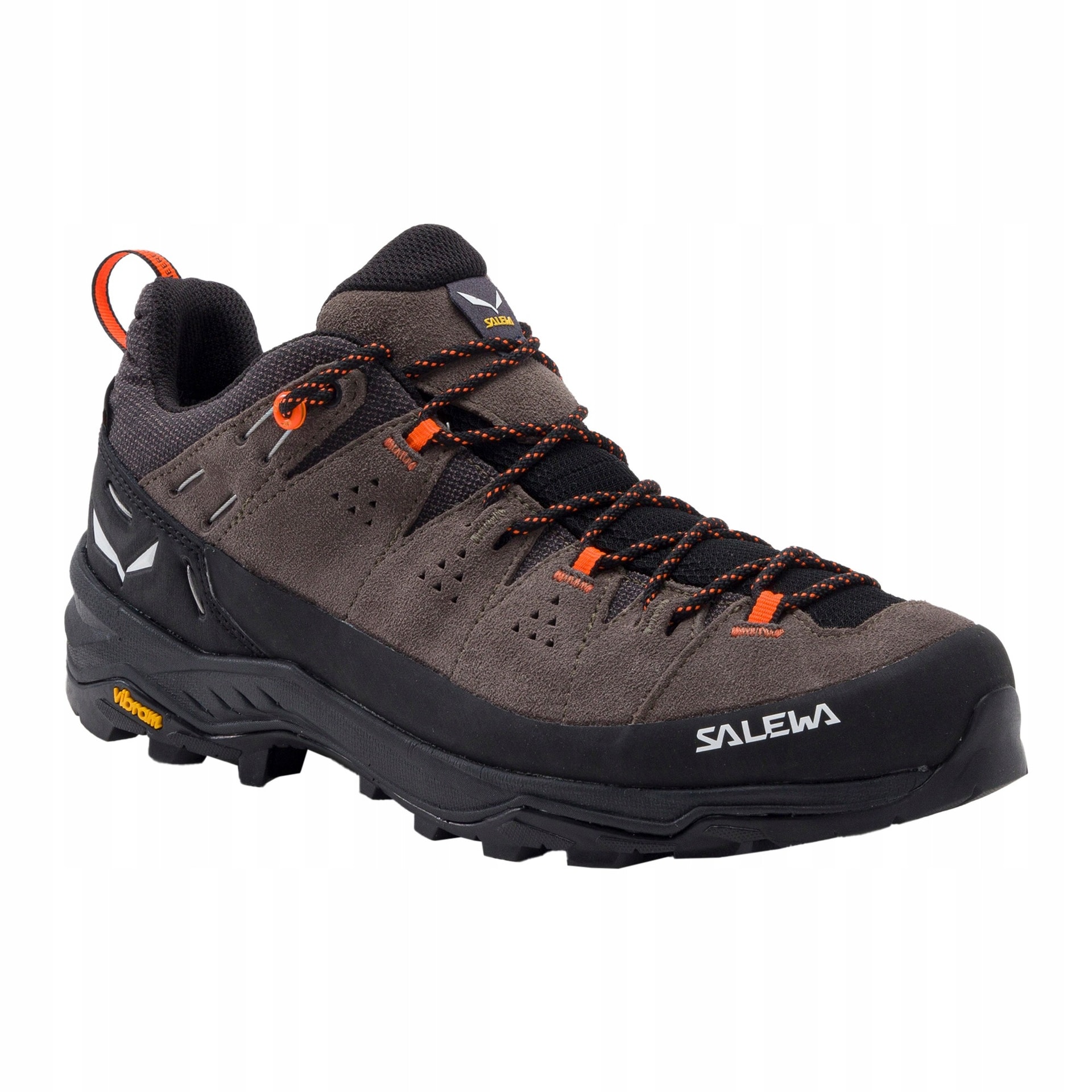Salewa Alp Trainer 2 GTX - Trekking shoes bungee cord/black