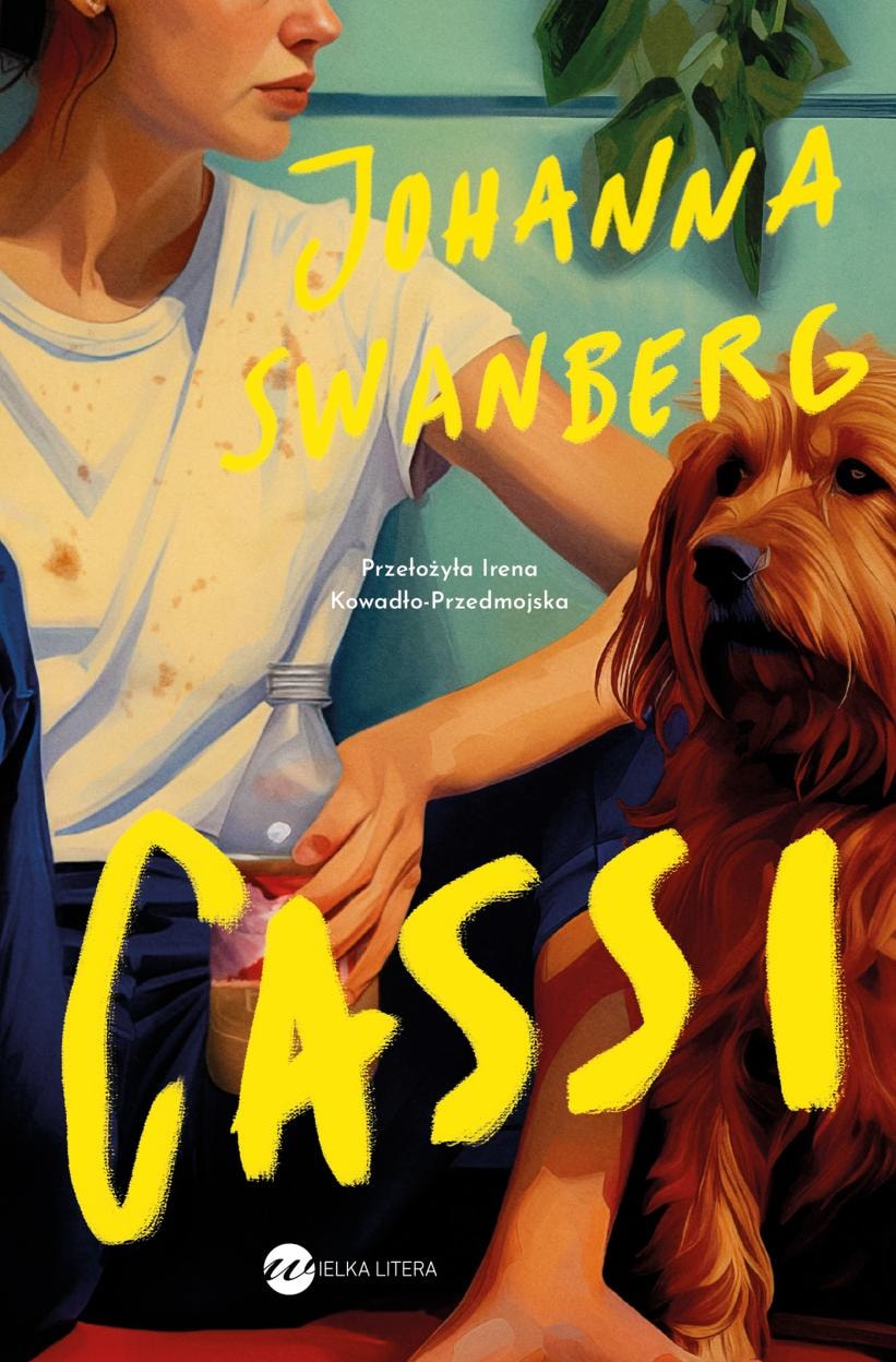 Johanna Swanberg Cassi - a touching novel about loneliness and the search for happiness