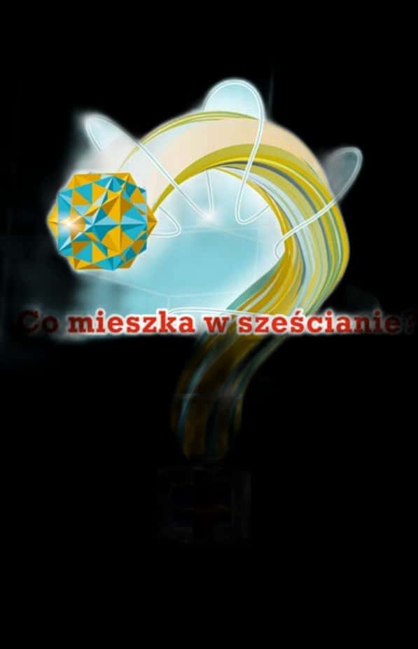 What lives in the cube? - Discover the world of polyhedra