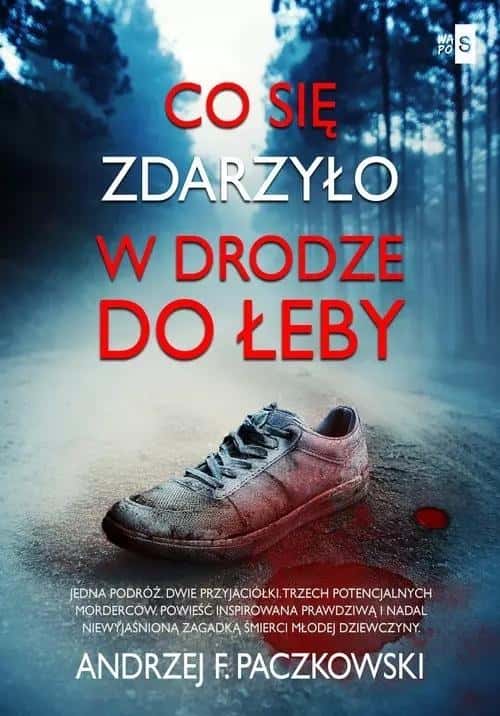 Andrzej F. Paczkowski - What happened on the way to Łeba - a novel full of mystery