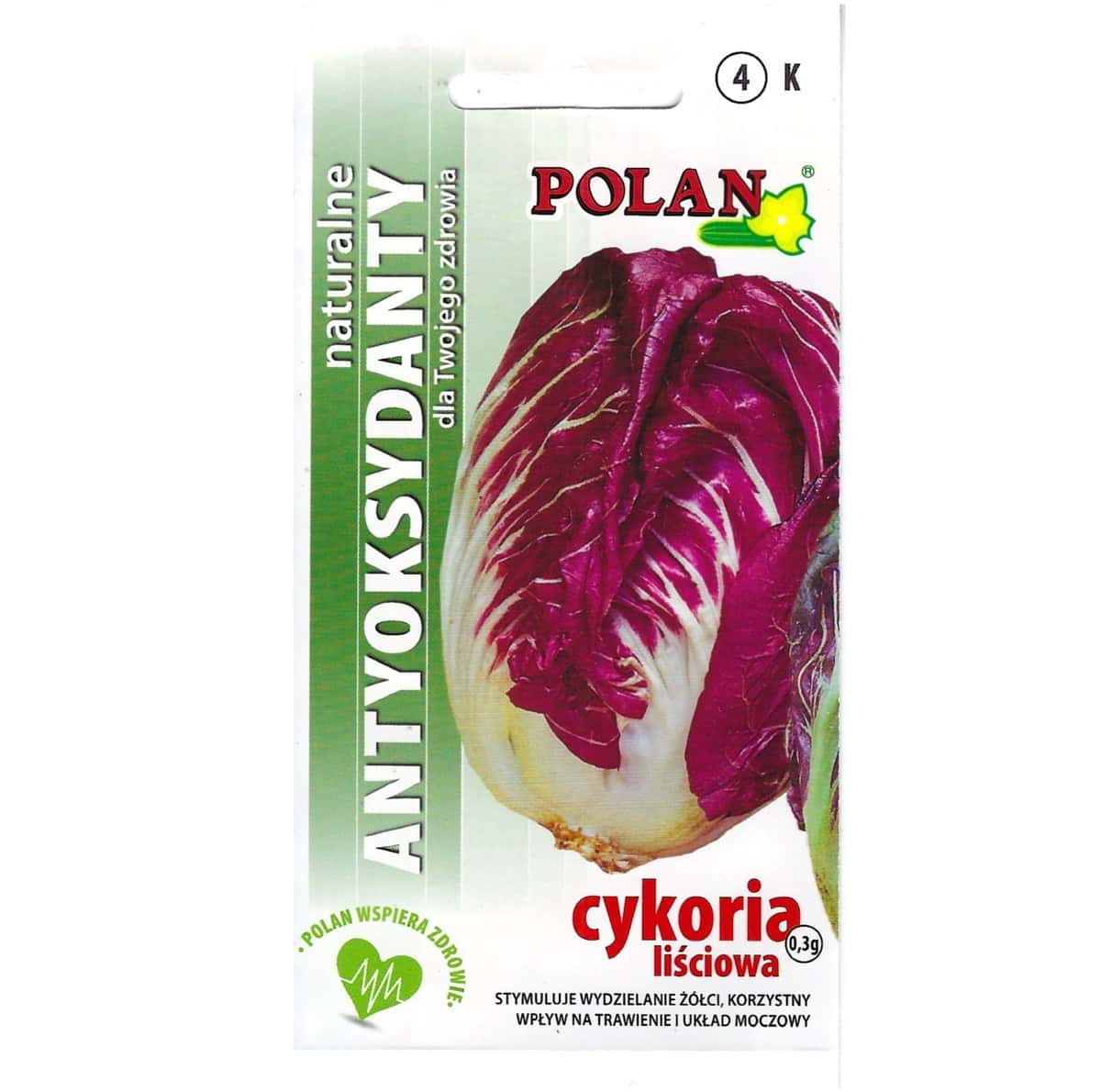 PlantiCo Leaf Chicory Palla Rossa - ideal for autumn salads