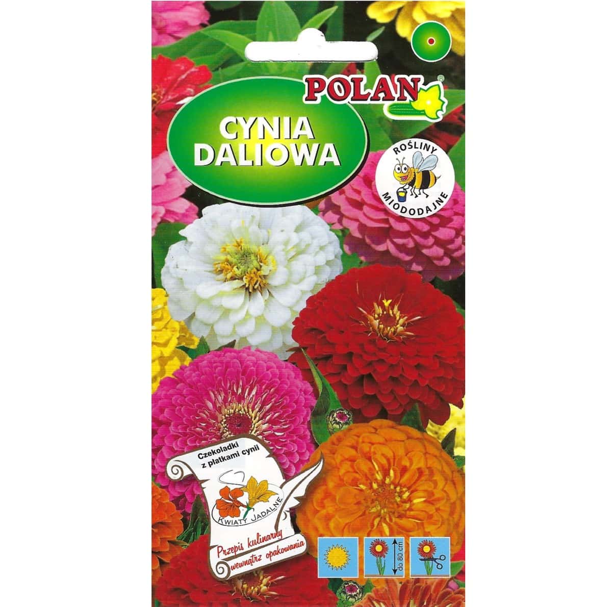 PlantiCo Zinnia dahlia mix - annual flower seeds attracting butterflies