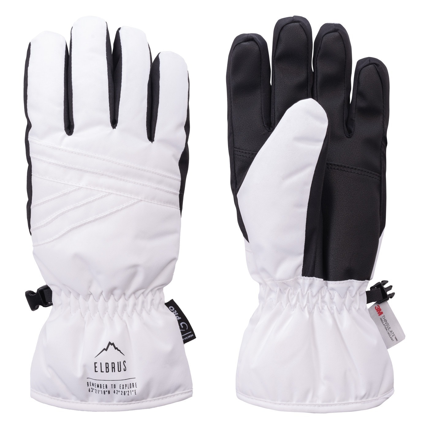Women's insulated gloves Astia Wo's - perfect for winter!