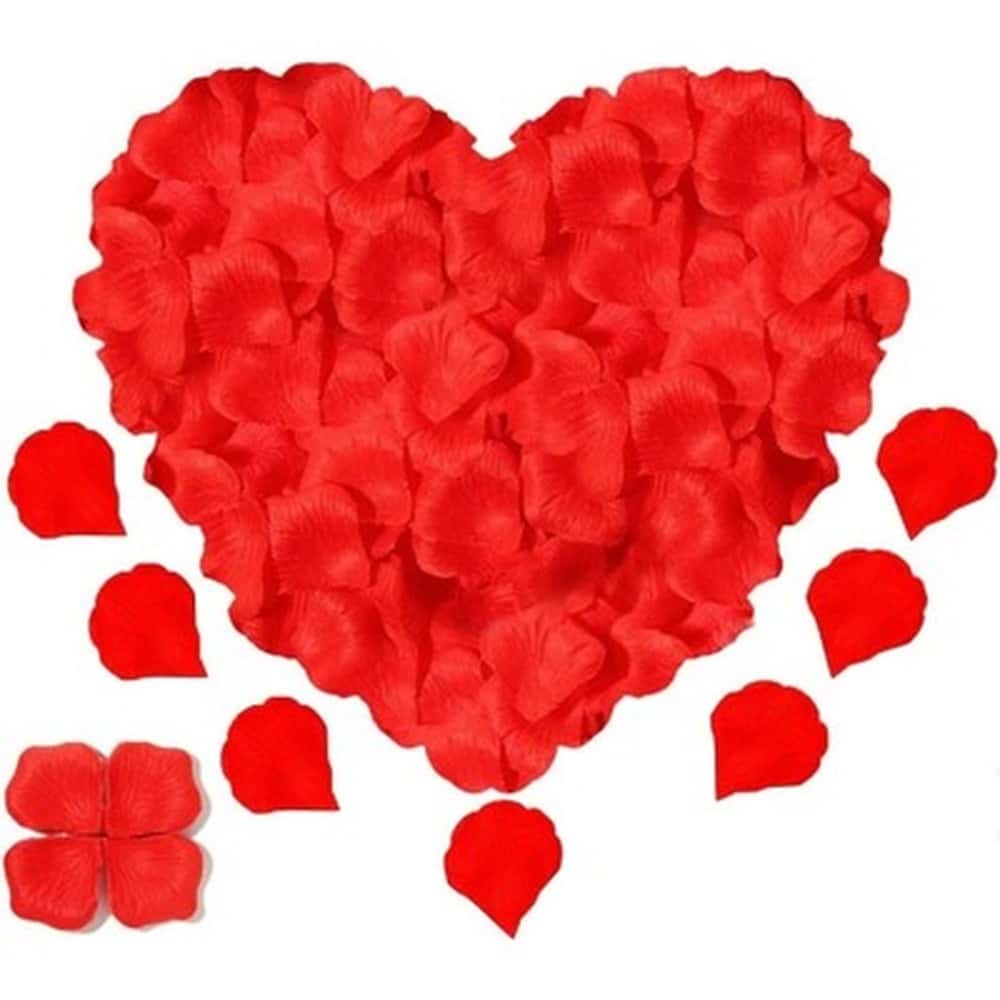 Decorative rose petals - red, 500 pieces - perfect for a romantic evening