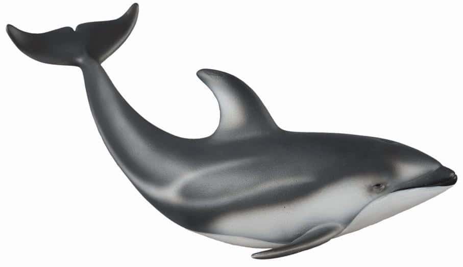 Collecta Pacific Dolphin - Collectible Figure for Ocean Lovers
