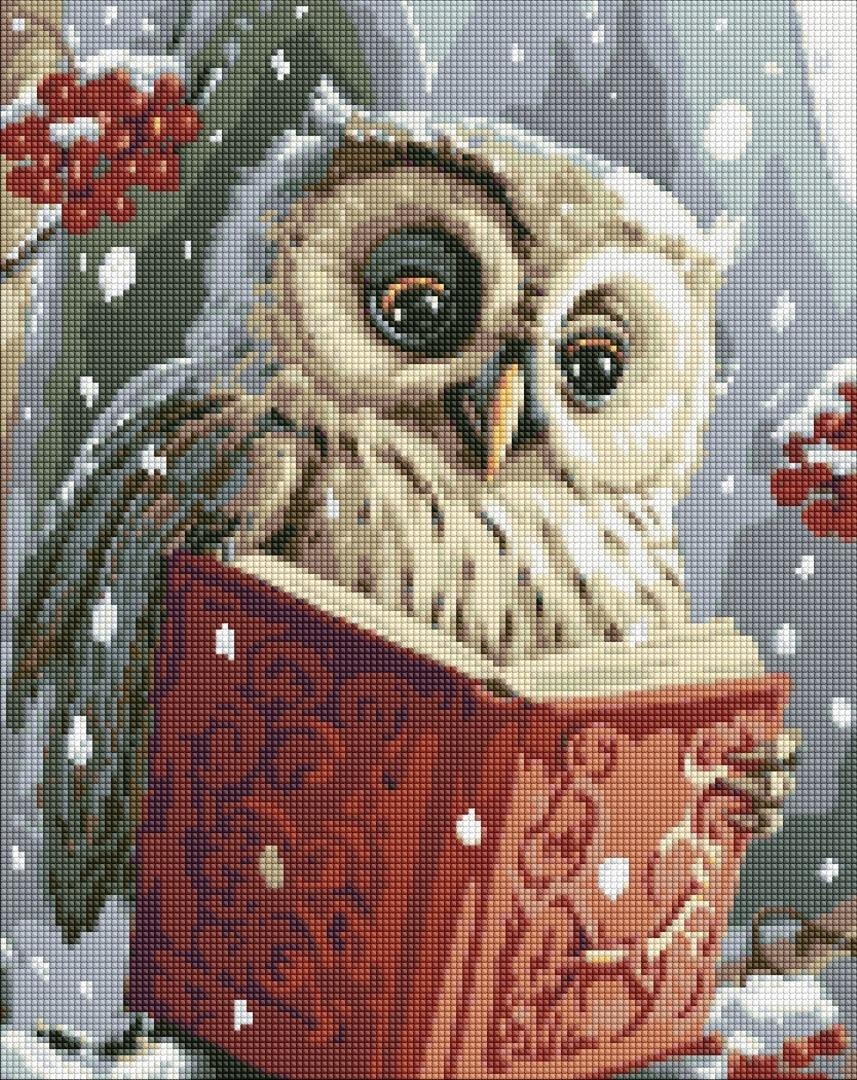 Ideyka Diamond Mosaic - Clever Owl 40x50 cm - perfect for relaxation