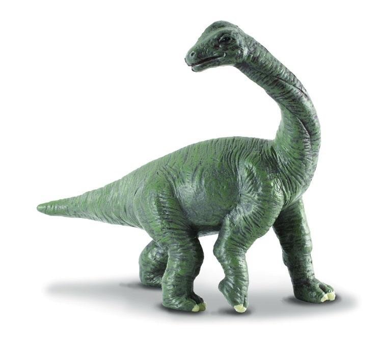 Collecta Young Brachiosaurus Dinosaur - Collectible figure for prehistoric enthusiasts