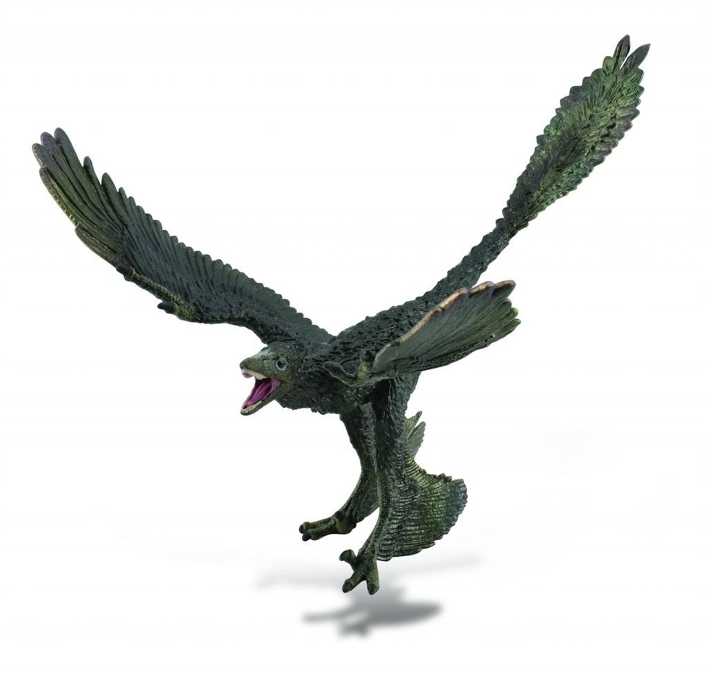 Collecta Microraptor Dinosaur Figure - realistic collectible model