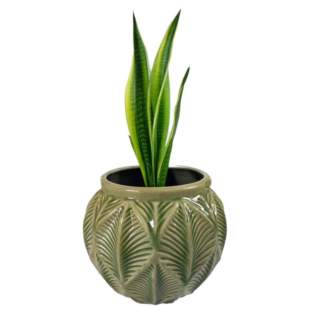 Doniczka Dekor Green 16cm - ideal for your home