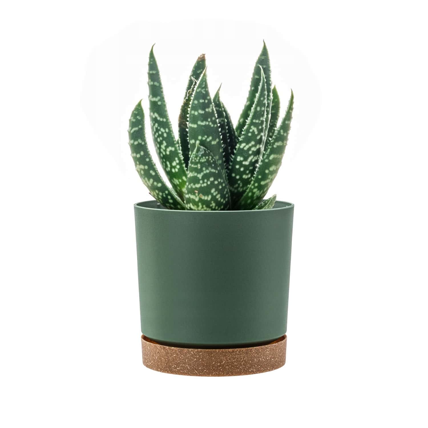 Wario flower pot 14 cm coffee - perfect for your home