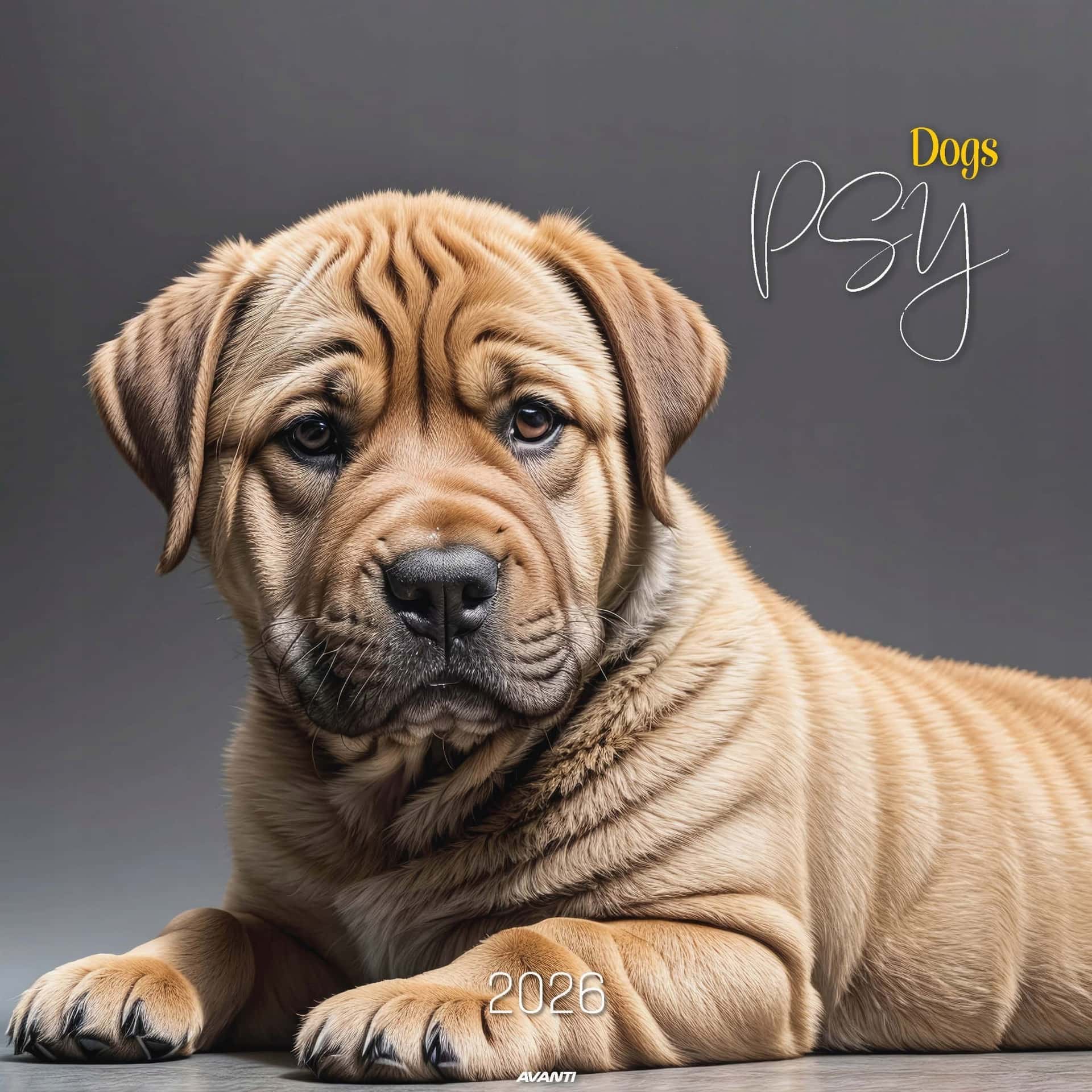 Wall Calendar Dogs Best - large format for dog lovers