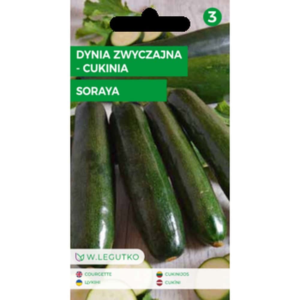 Common Pumpkin Zucchini Soraya - early variety for your garden