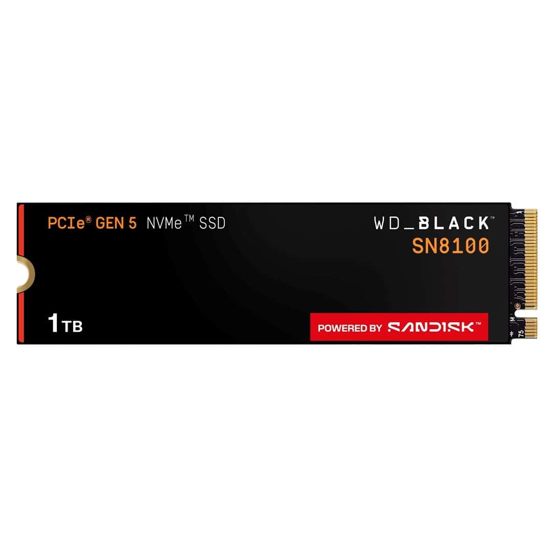 WD Black SN8100 - SSD 1TB without heatsink - speed and reliability