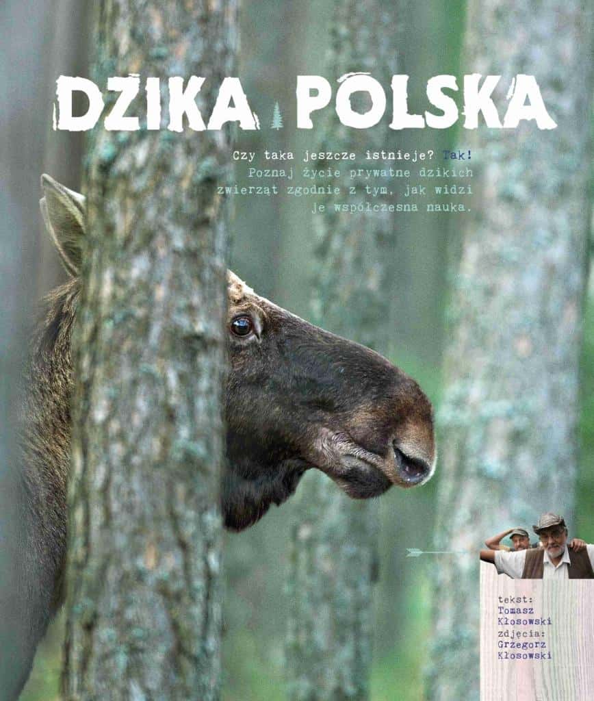 Wild Poland - Tomasz Kłosowski takes you on a fascinating journey through the wild nature
