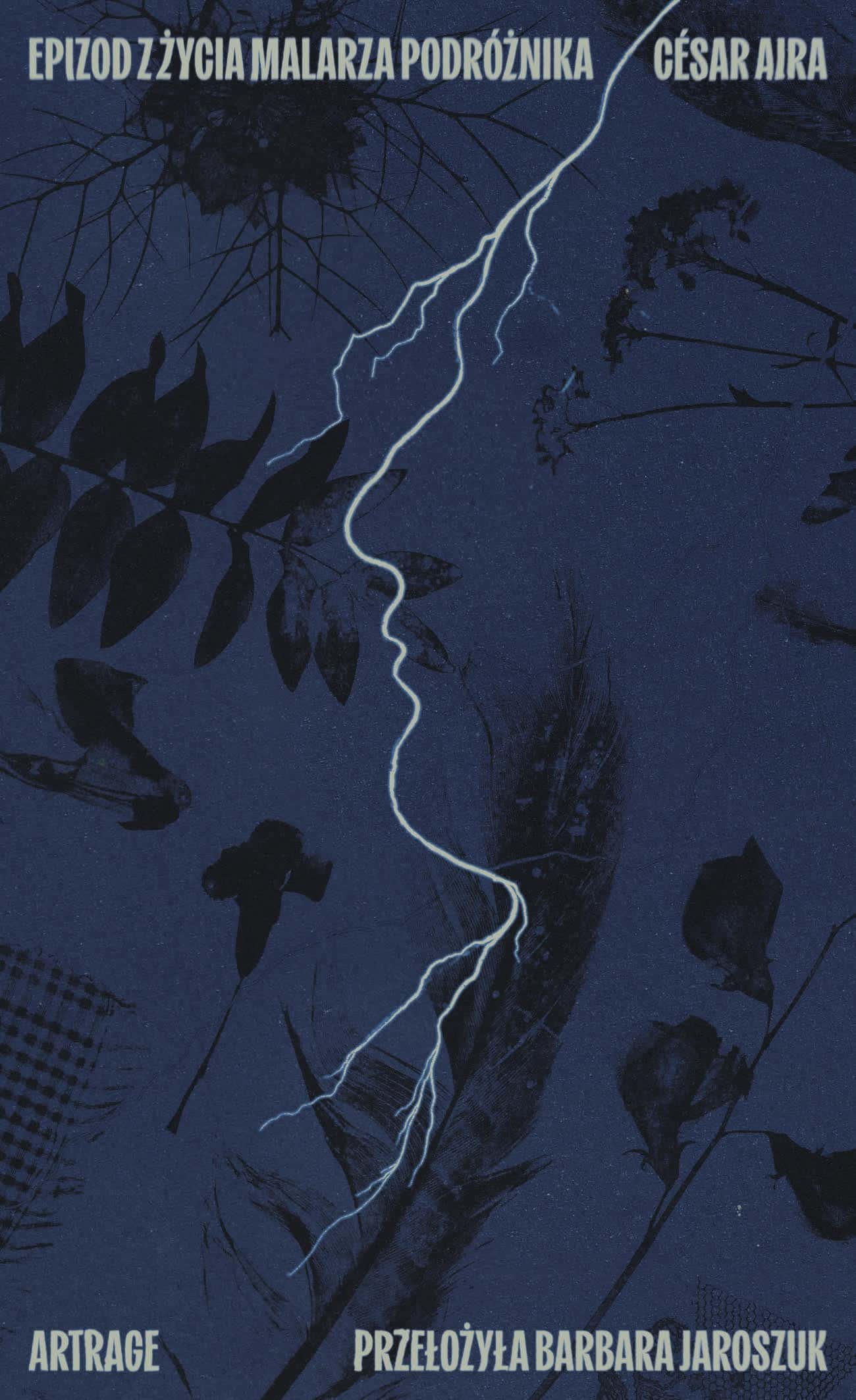 ArtRage Episode from the Life of a Traveling Painter - Polish Subversive Meditation