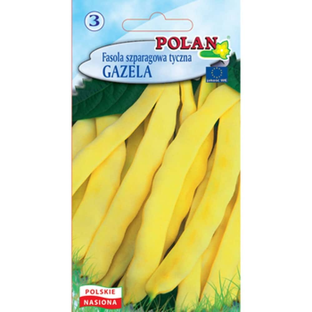 Gazela Polan String Bean - medium early asparagus bean variety