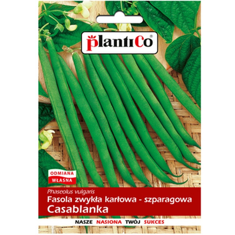 Bean Casablanca - ideal for your garden