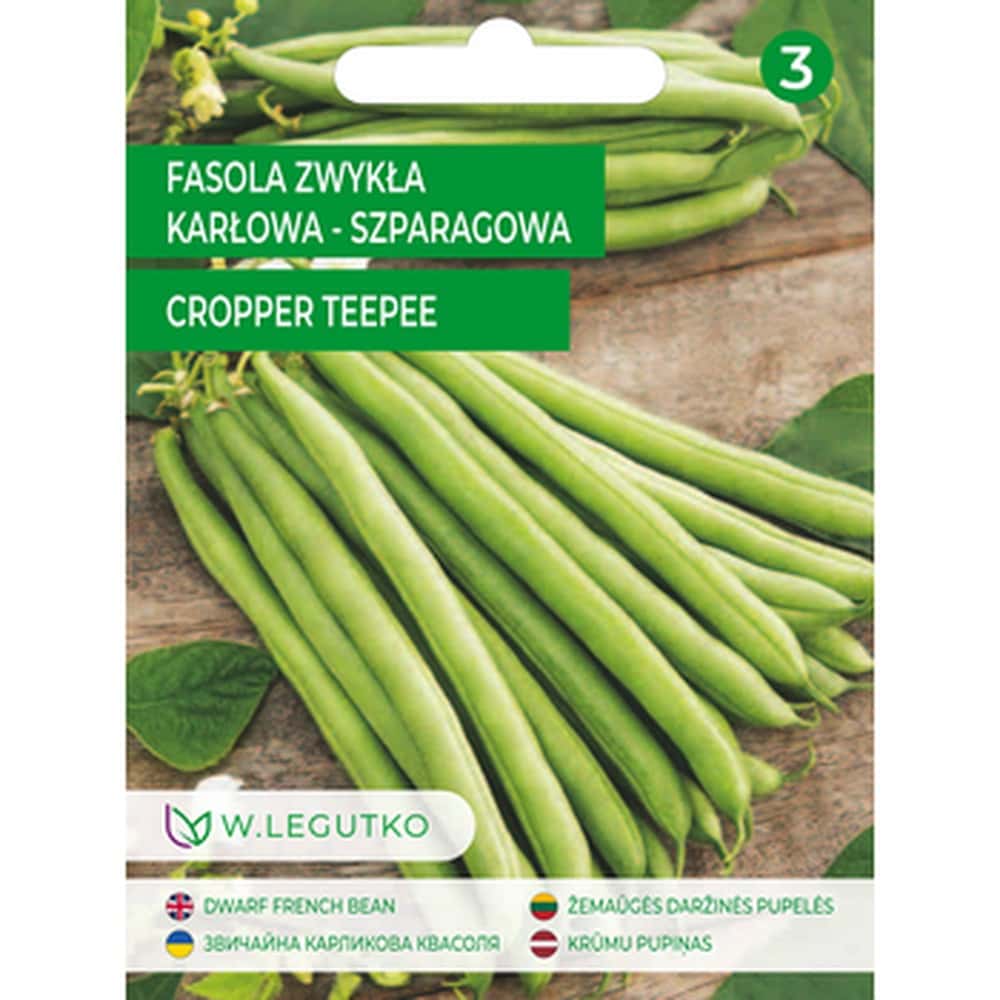 Cropp Fitted Women's T-Shirt Teepee - emphasize your style!