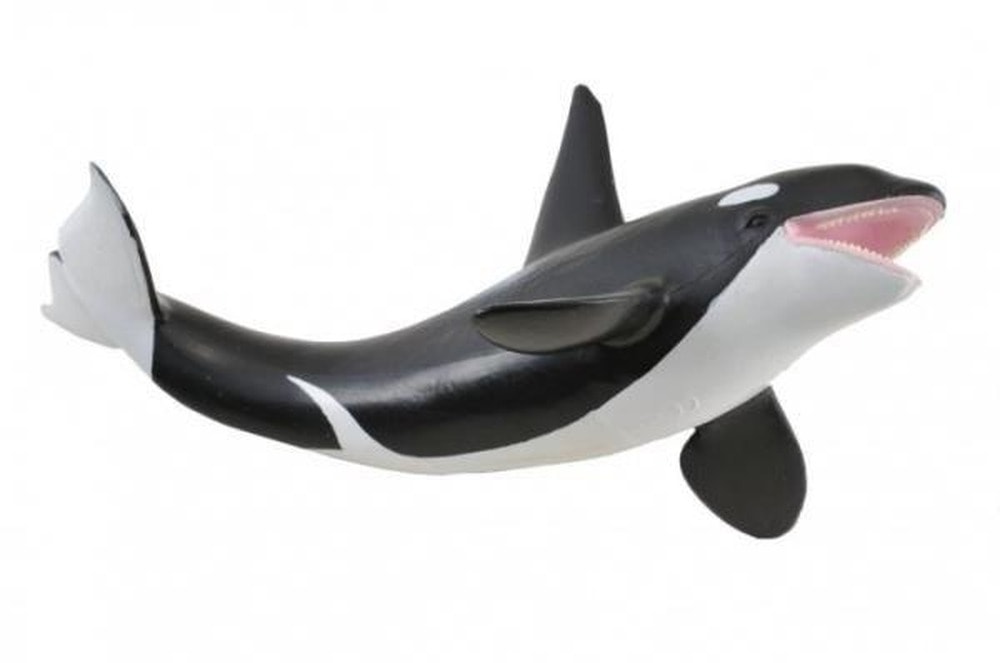 Collecta Orca Figure - Realistic Model for Collectors