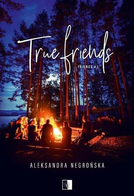 True Friends. Friends. Volume 3 - A novel about growing up and friendship