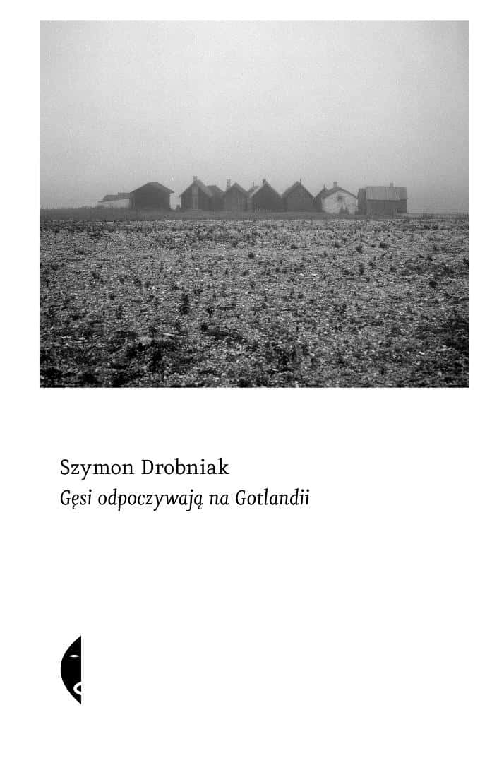 Czarne Geese resting in Gotland - a reporter's essay