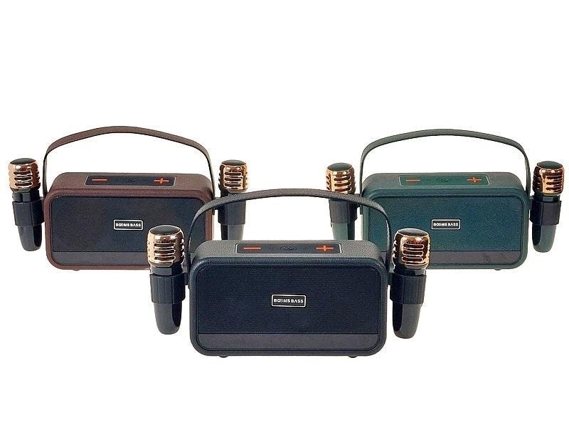 Speaker set with microphones - ideal for karaoke