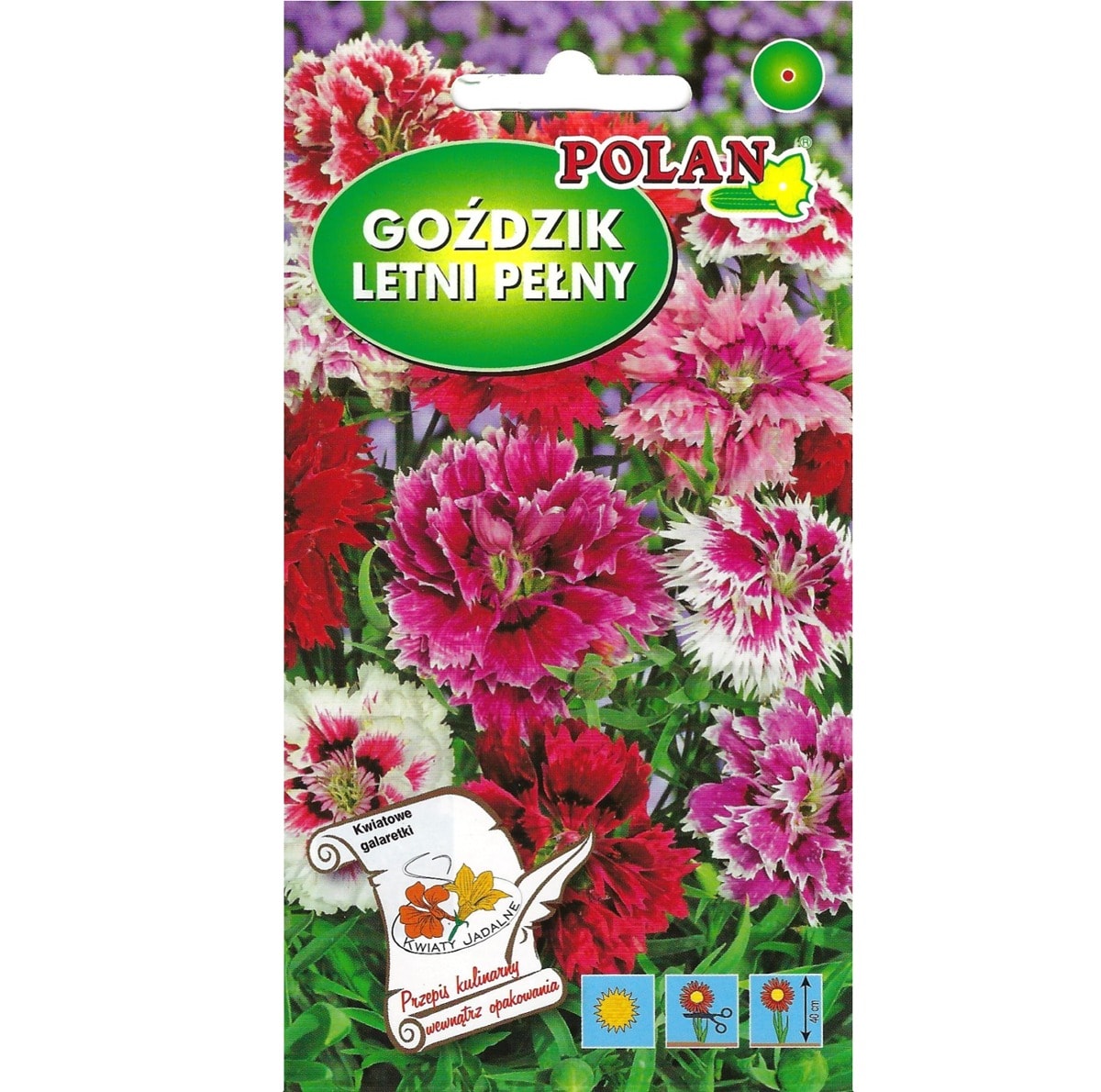 PlantiCo Chinese carnation full mix - colorful flowers for your garden