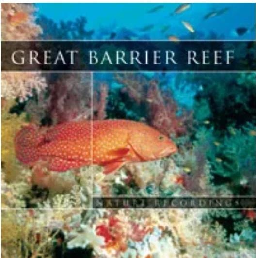 Teddy Records Great Barrier Reef CD - relaxation music