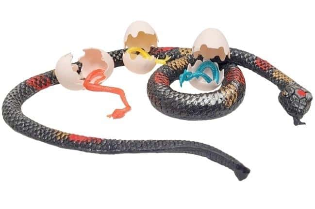 Rubber snake 66 cm with eggs - realistic playset