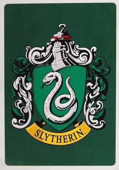 Harry Potter Magnet Slytherin Crest - Decoration for fans