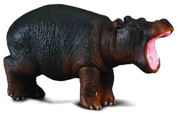 Collecta Young Hippopotamus - Collectible figurine ideal as a gift