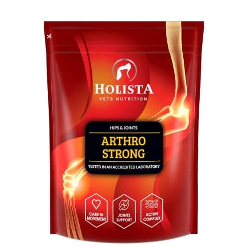 Holista Arthro Strong - Dietary supplement for joints 600g