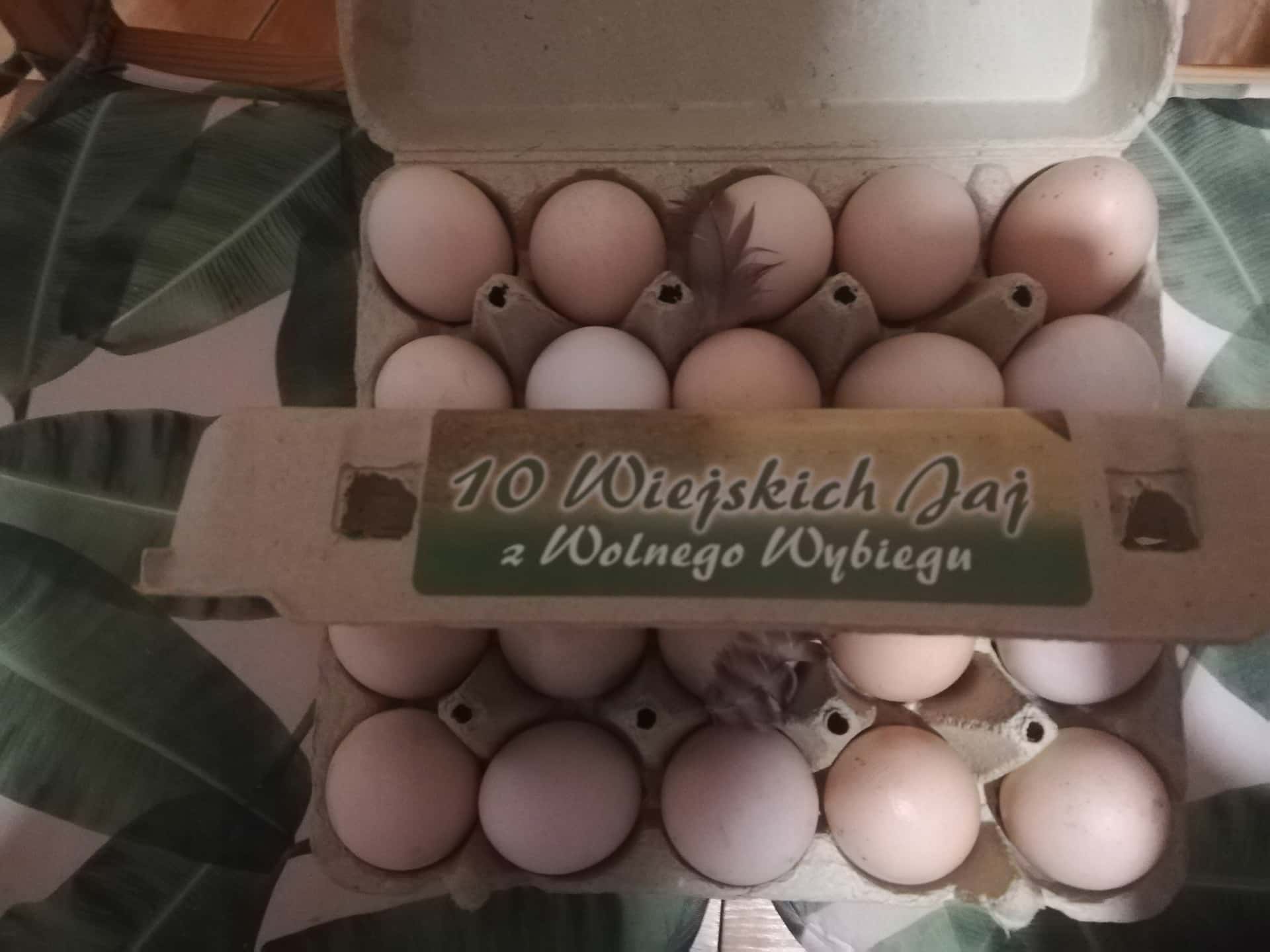 TGE Free-range chicken eggs 30M - fresh and tasty eggs