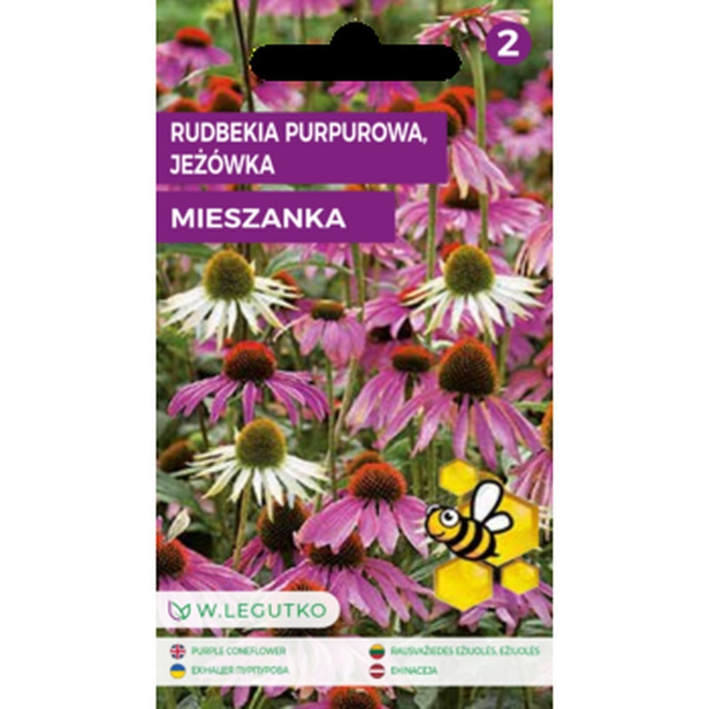 Rudbeckia Purple Coneflower - perennial for your garden