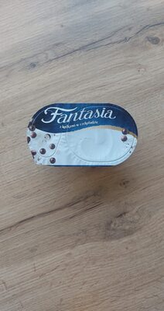 Fantasia Yogurt Chocolate Balls - delight in every bite