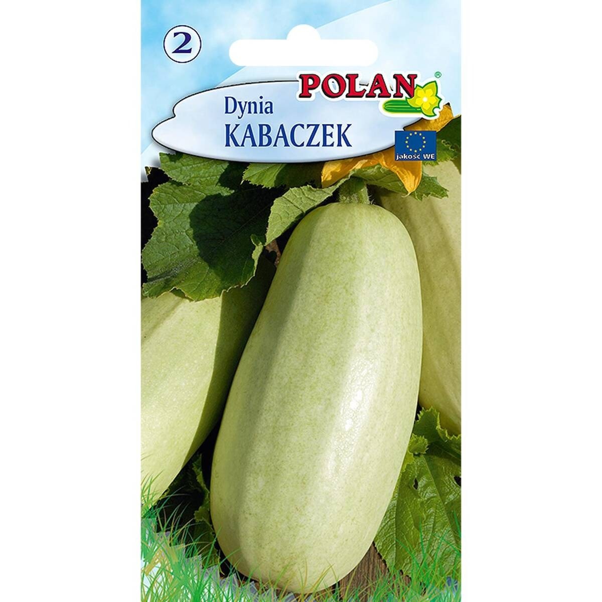 Zucchini Polan - early variety ideal for growing in the garden