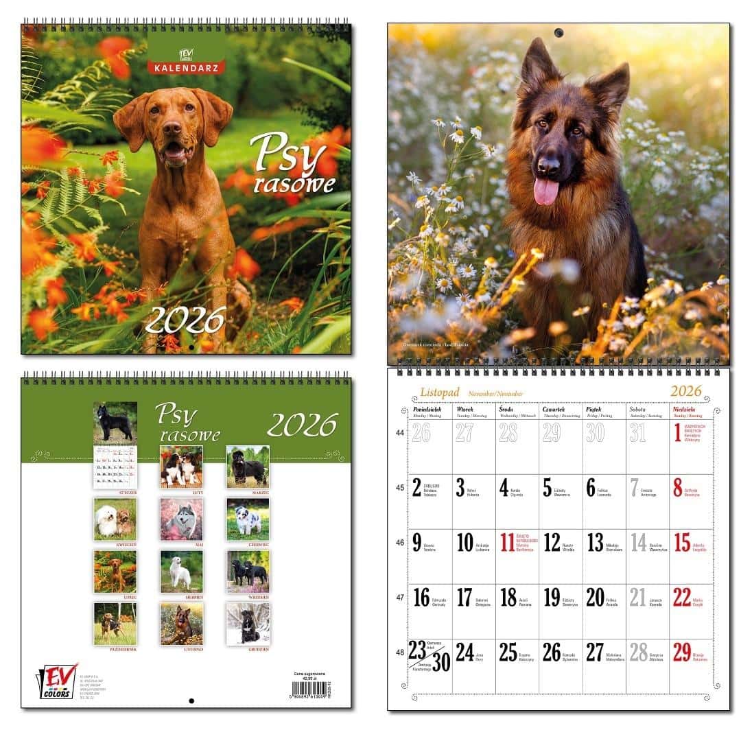 EV-Corp Calendar 2026 30x60 Breed Dogs - perfect gift for dog lovers