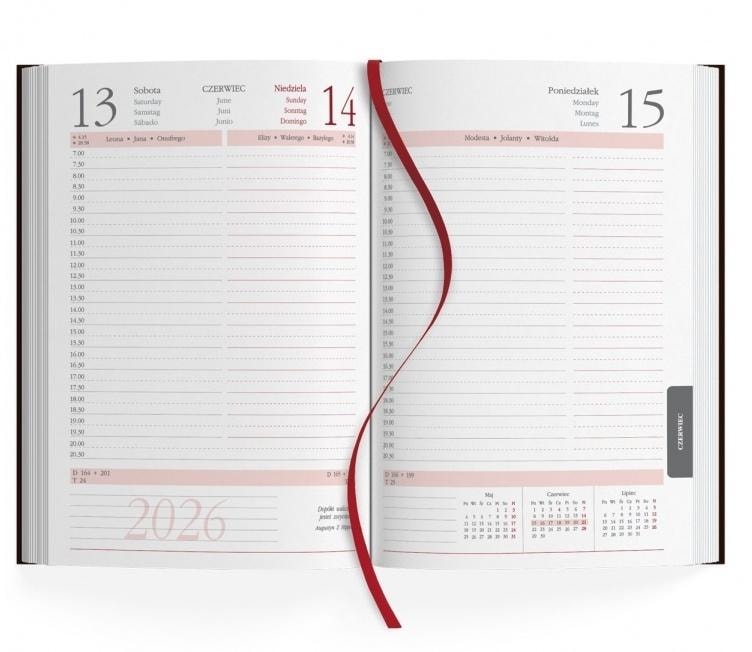 Calendar 2026 A5 daily - Plan your year!