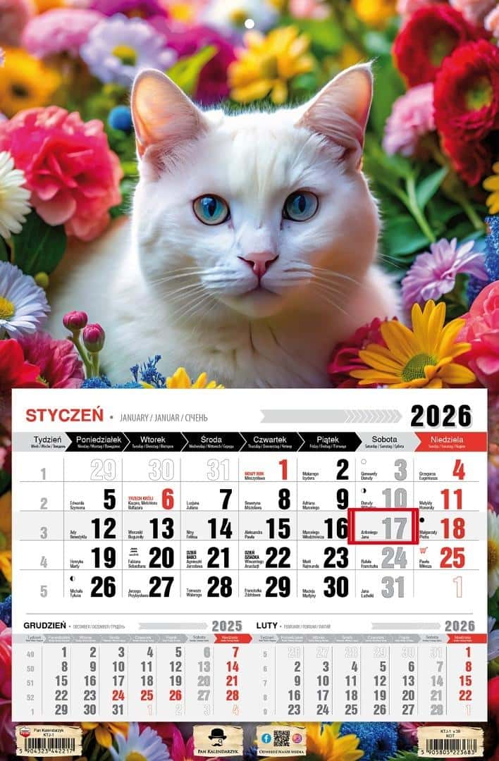Pan Kalendarzyk Three-part calendar Cat KTJ1 V38 - ideal for planning