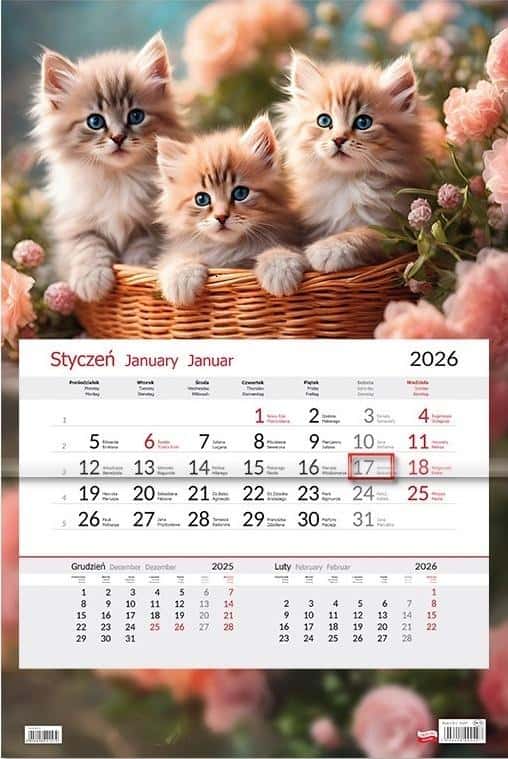 Calendar 2026 one-part Cats - Plan your year with adorable cats!