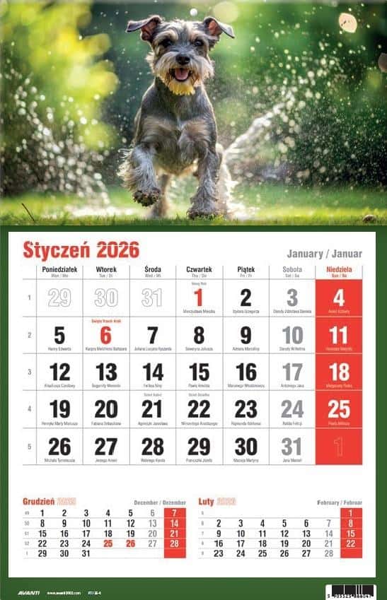 BEST Calendar - Three-part single calendar 31 x 48 cm