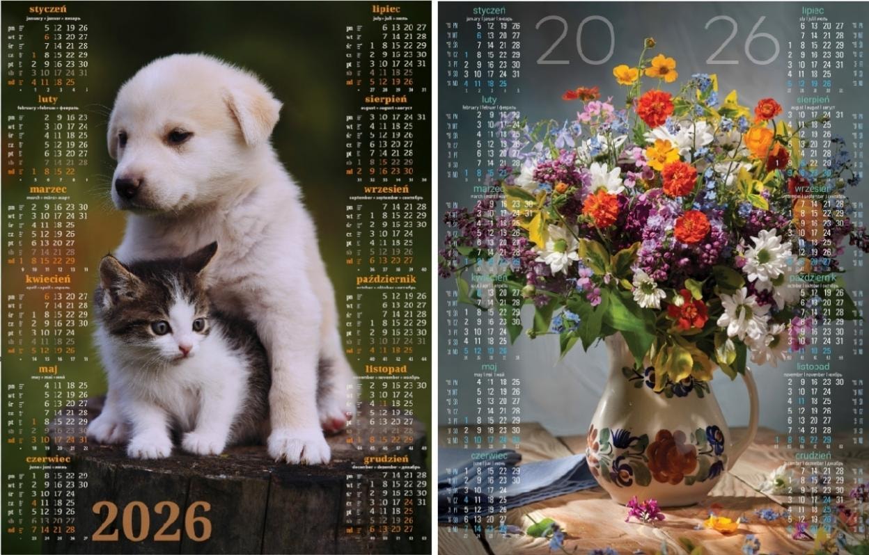 Calendar 2026 poster MIX - 18 designs for everyone