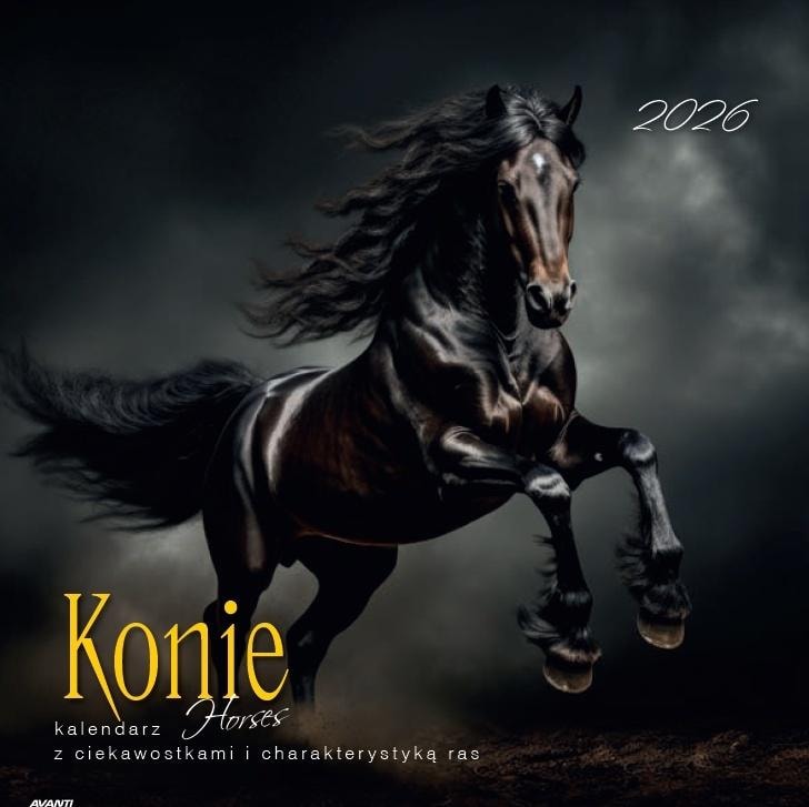 Calendar 2026 Horses - Wall calendar with beautiful horse pictures