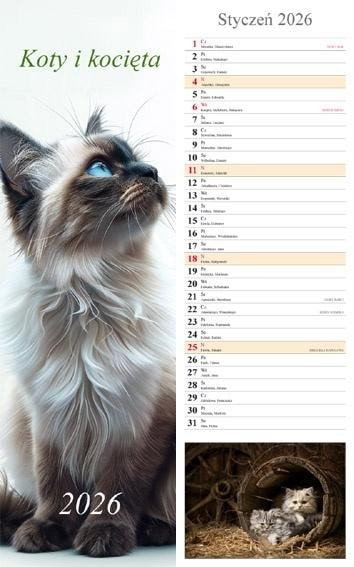 Radwan Calendar 2026 strip Cats - ideal for planning