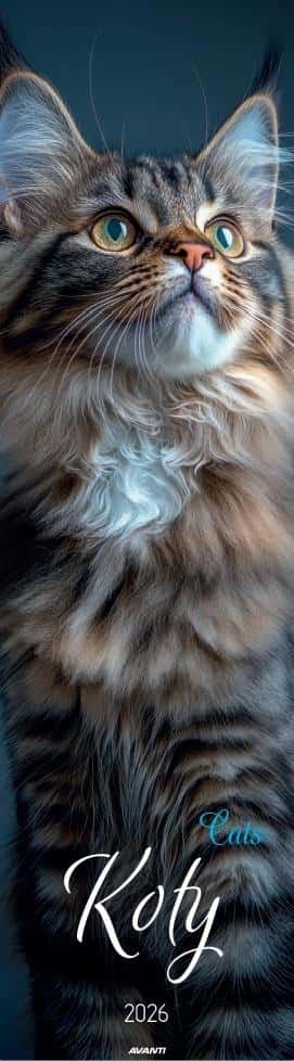 Strip calendar 13x46 cm Cats - A charming way to organize